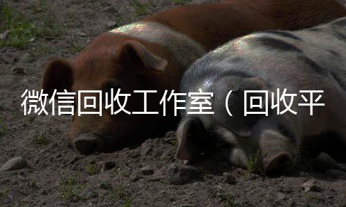 微信回收工诚信收微信秒结作室（回收平台）
